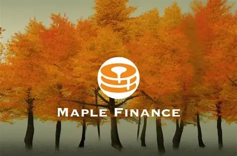Maple Finance：机构级DeFi借贷协议