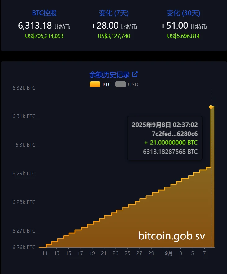萨尔瓦多比特币持仓增至6,313.18枚 总价值达7.01亿美元 萨尔瓦多比特币持仓增至6,313.18枚 总价值达7.01亿美元