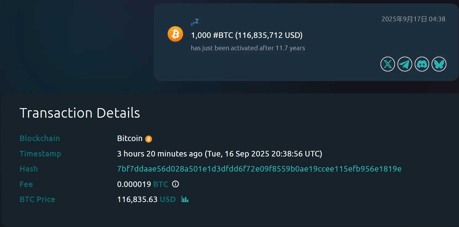 沉寂11.7年比特币休眠地址被激活 持有1000枚BTC